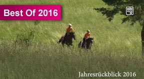 25 Jahre Reitwegenetz Mühlviertler Alm