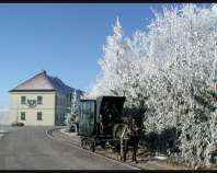 Ankündigung Adventfahrten bei der Mühlviertler Pferdeeisenbahn in Kerschbaum