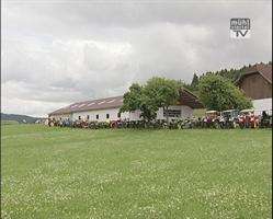 Oldtimertraktorausfahrt u. Mostkost in Gutau